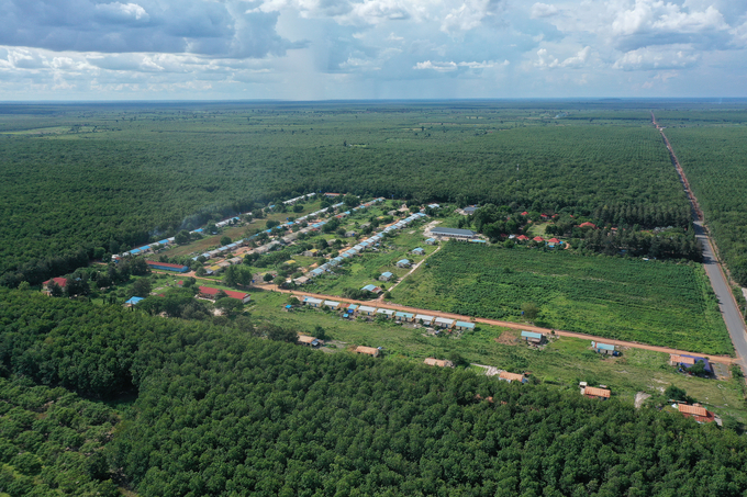 &apos;Sợi dây&apos; cao su kết nối Việt - Cam nơi những cây cao su đầu tiên của VRG mọc trên đất Campuchia